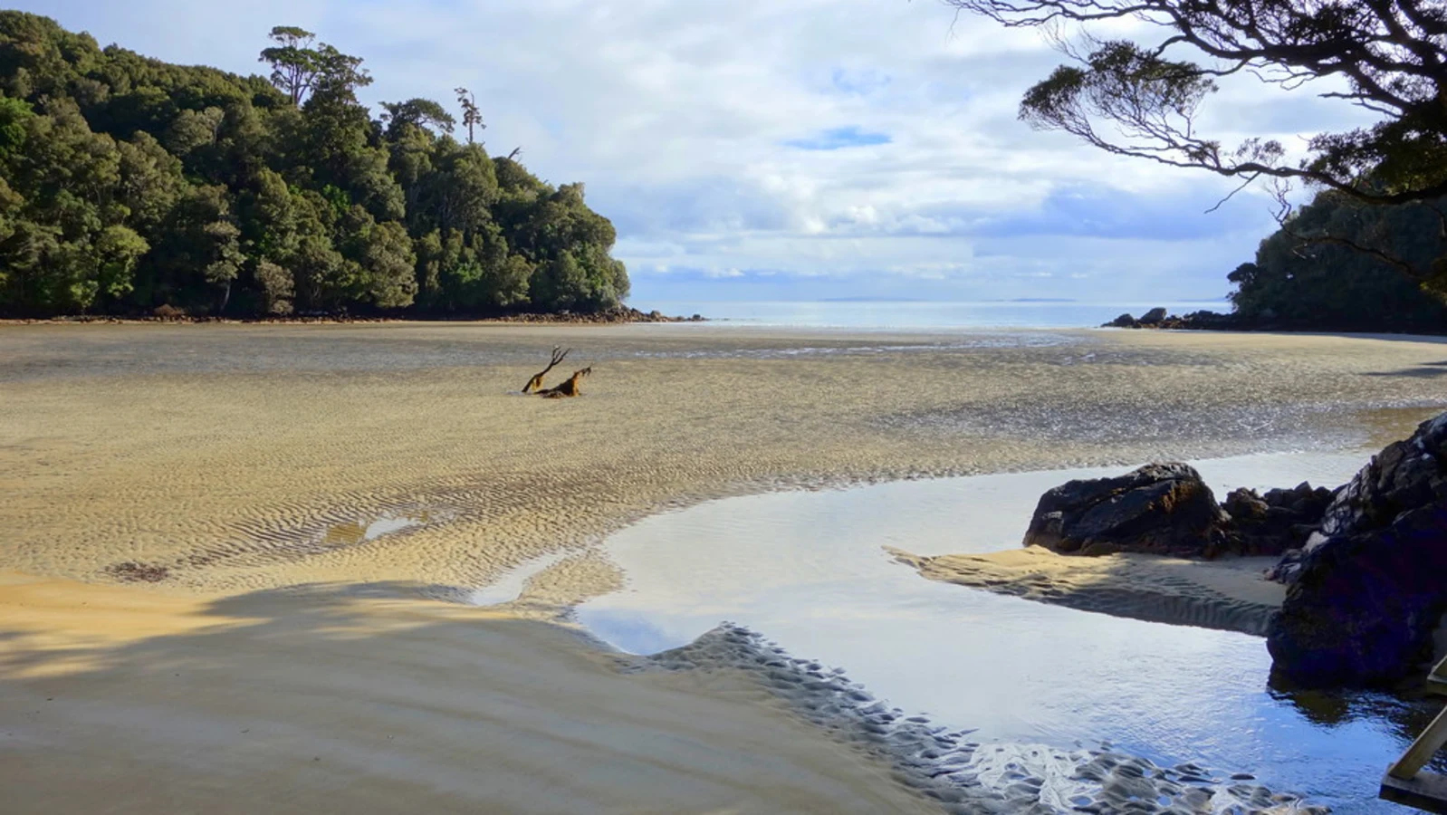 Rakiura Track, Nouvelle-Zélande