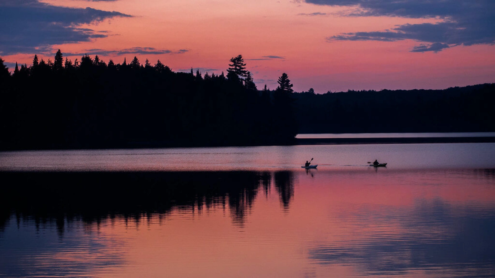 Parc provincial Algonquin, Canada