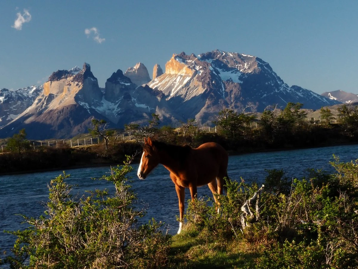 Rio Serrano, Chili