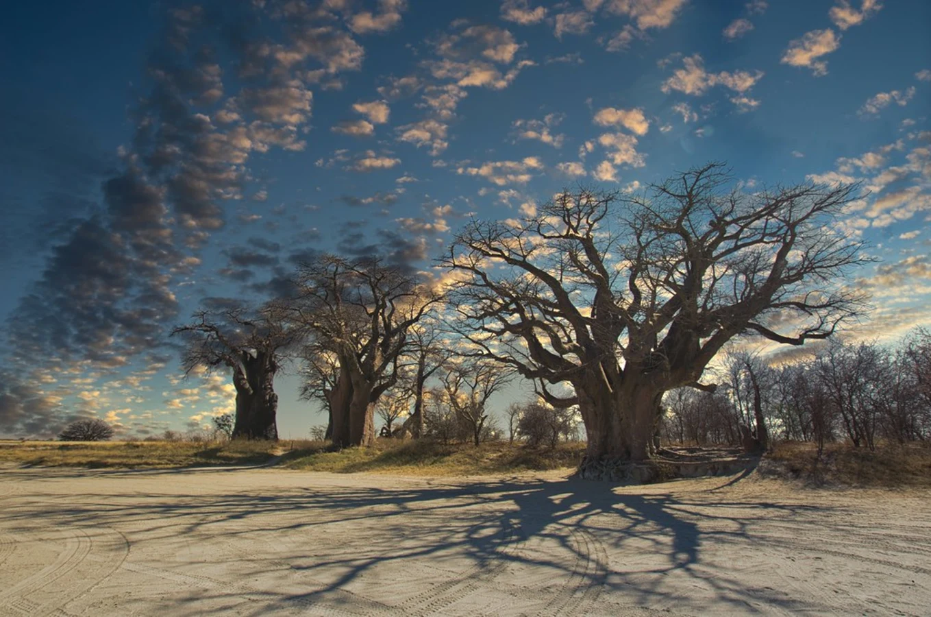 Parc national de Nxai Pan, Botswana