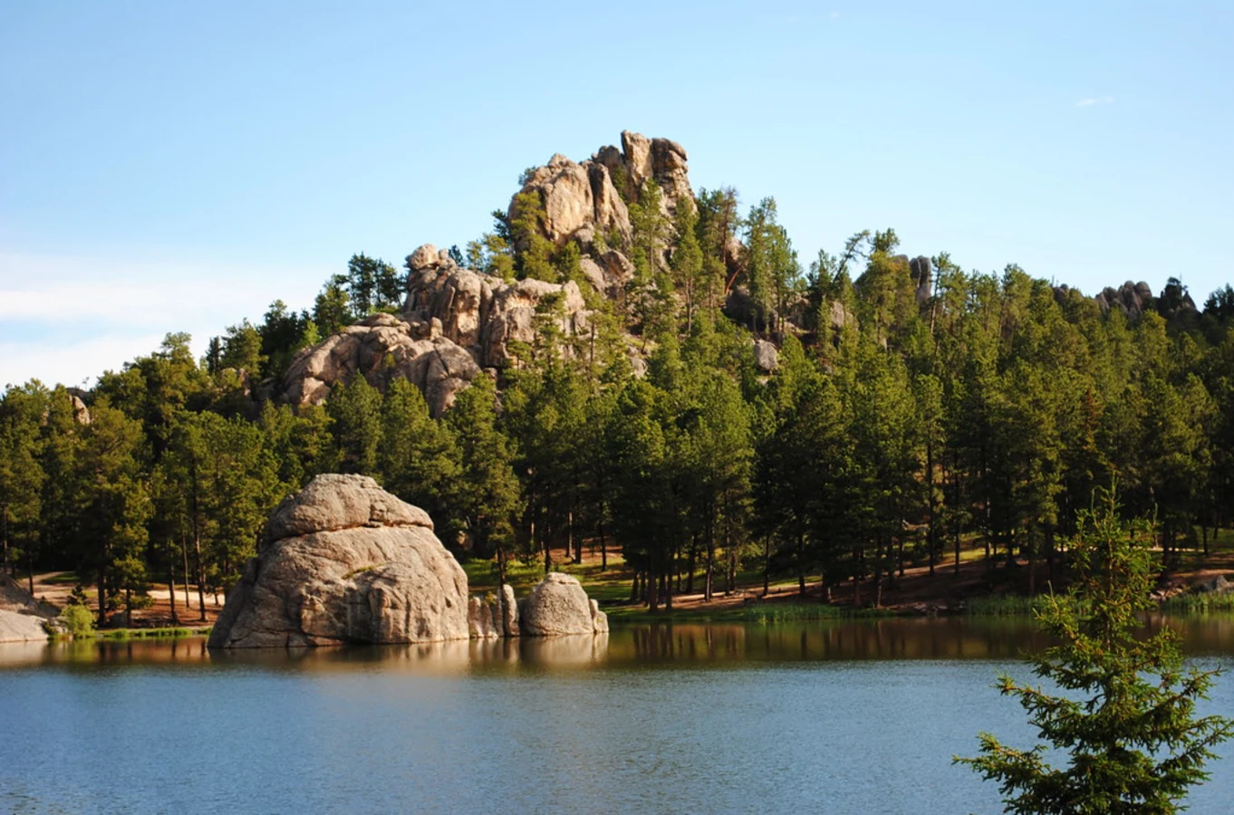 Parc d'État Custer, États-Unis