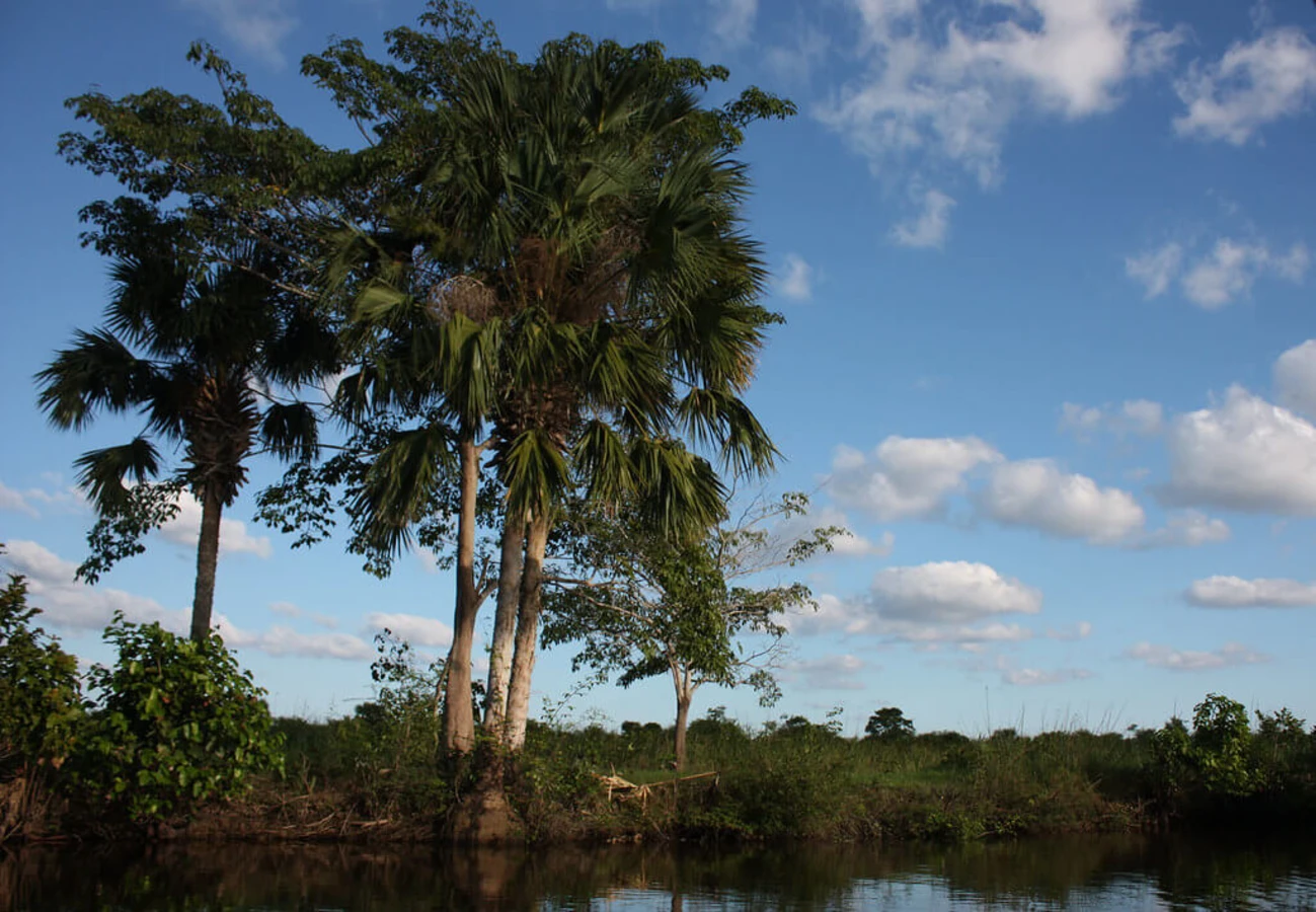 Pantanos de Centla, Mexique