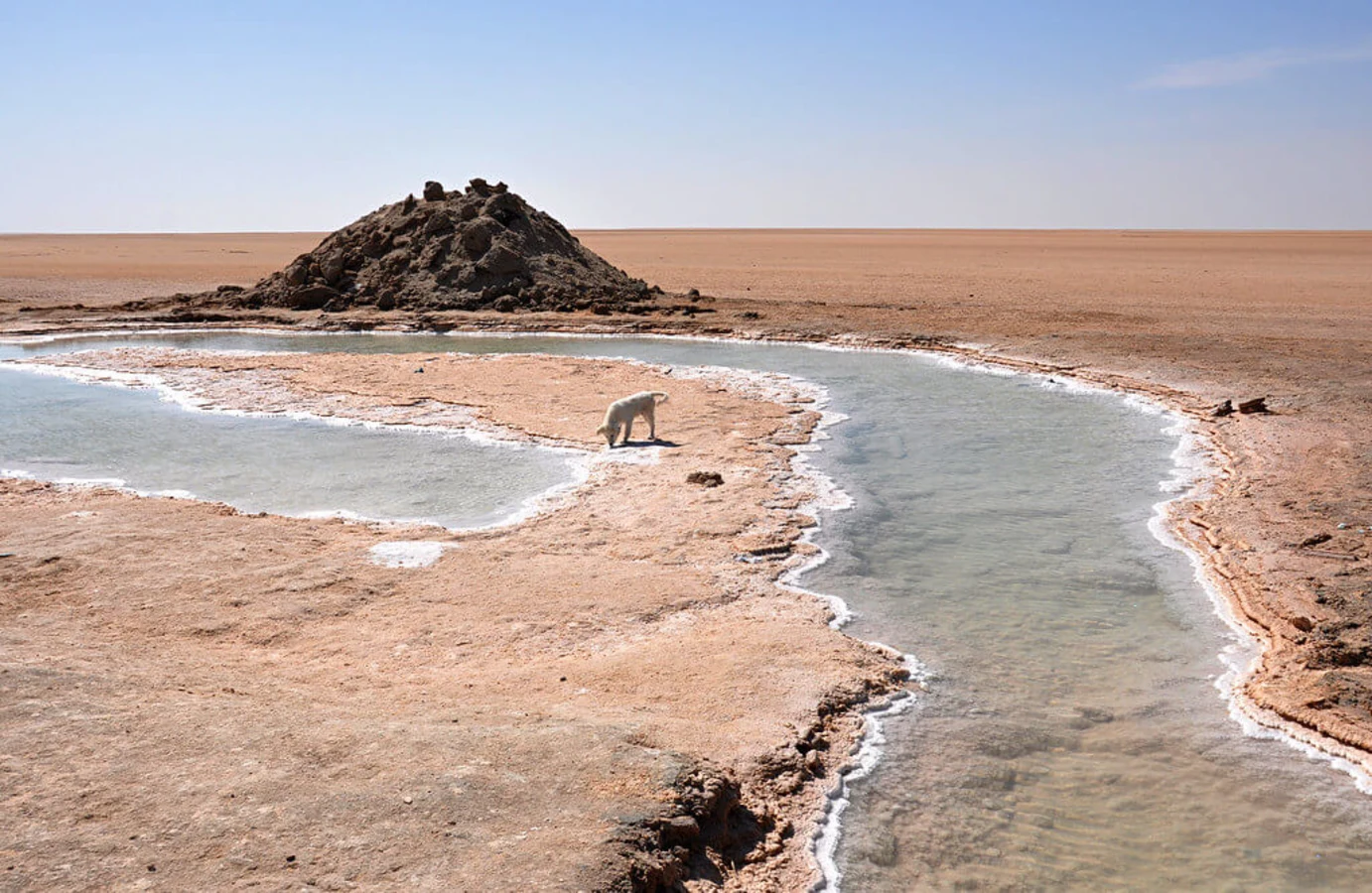 Chott el-Jérid, Tunisie, Tunisie