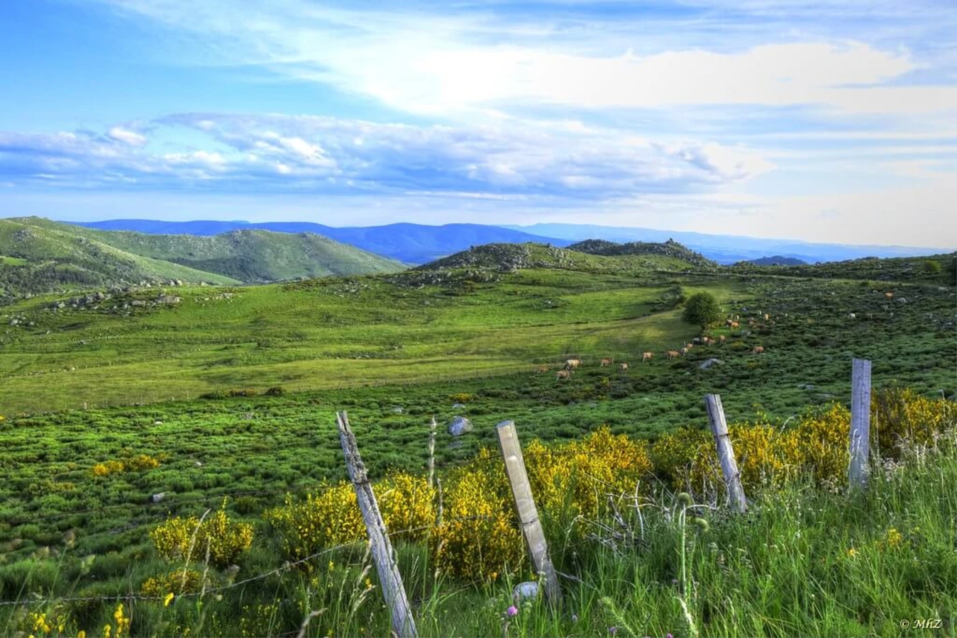 Mont Lozère, France