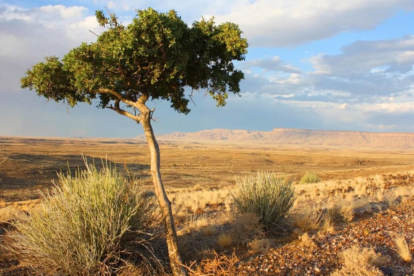 Gondwana Canyon Park, Namibie