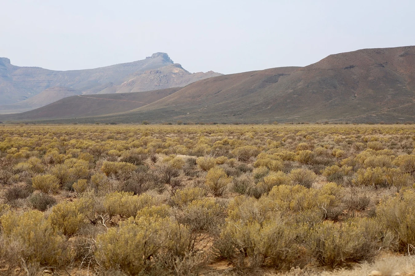 Parc national de Tankwa Karoo, Afrique du Sud