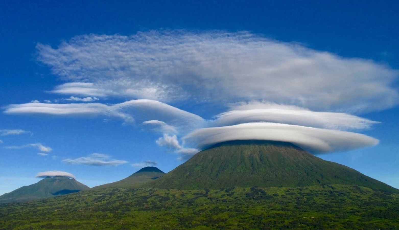 Parc national des volcans, Rwanda