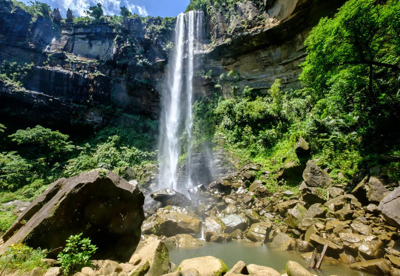 Parc national d'Iriomote-Ishigaki, Japon