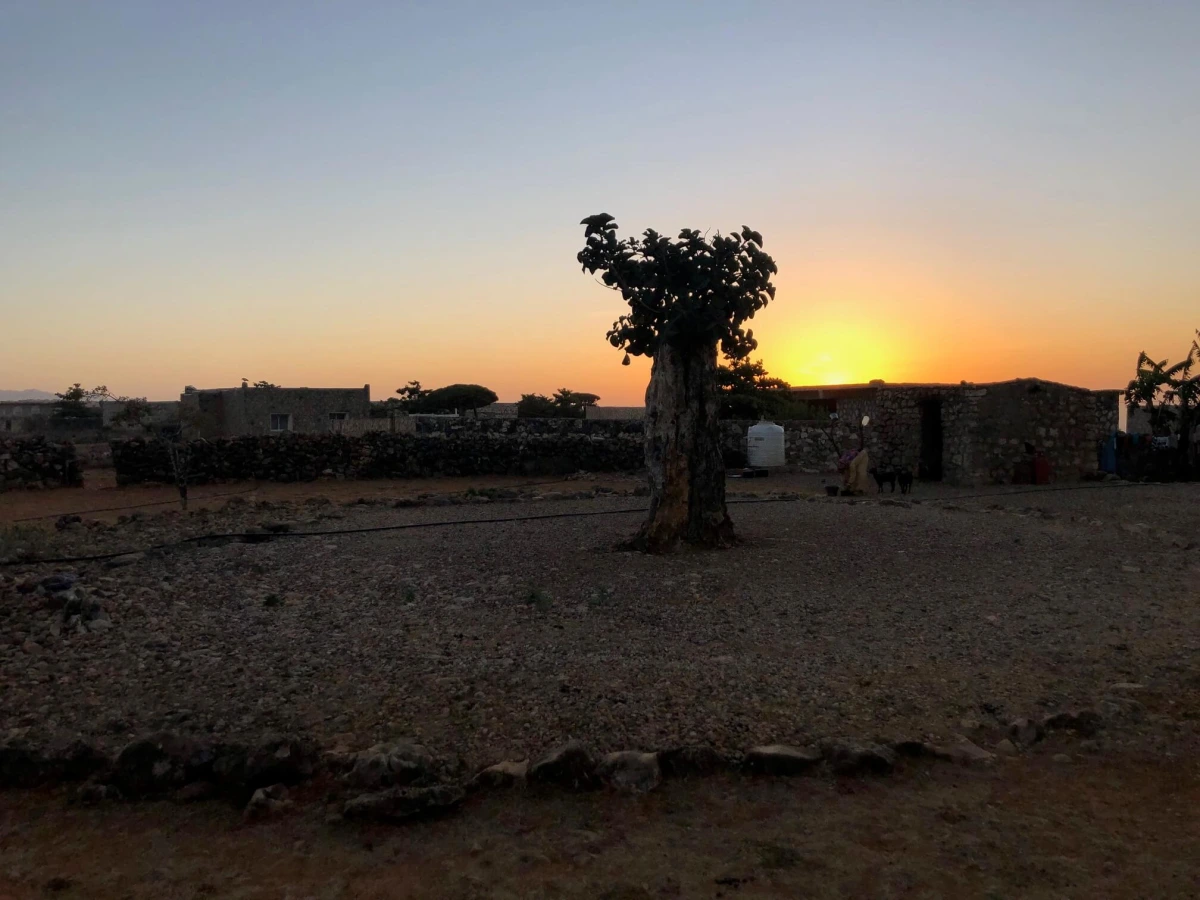 Diksam Campsite, Yémen, Socotra