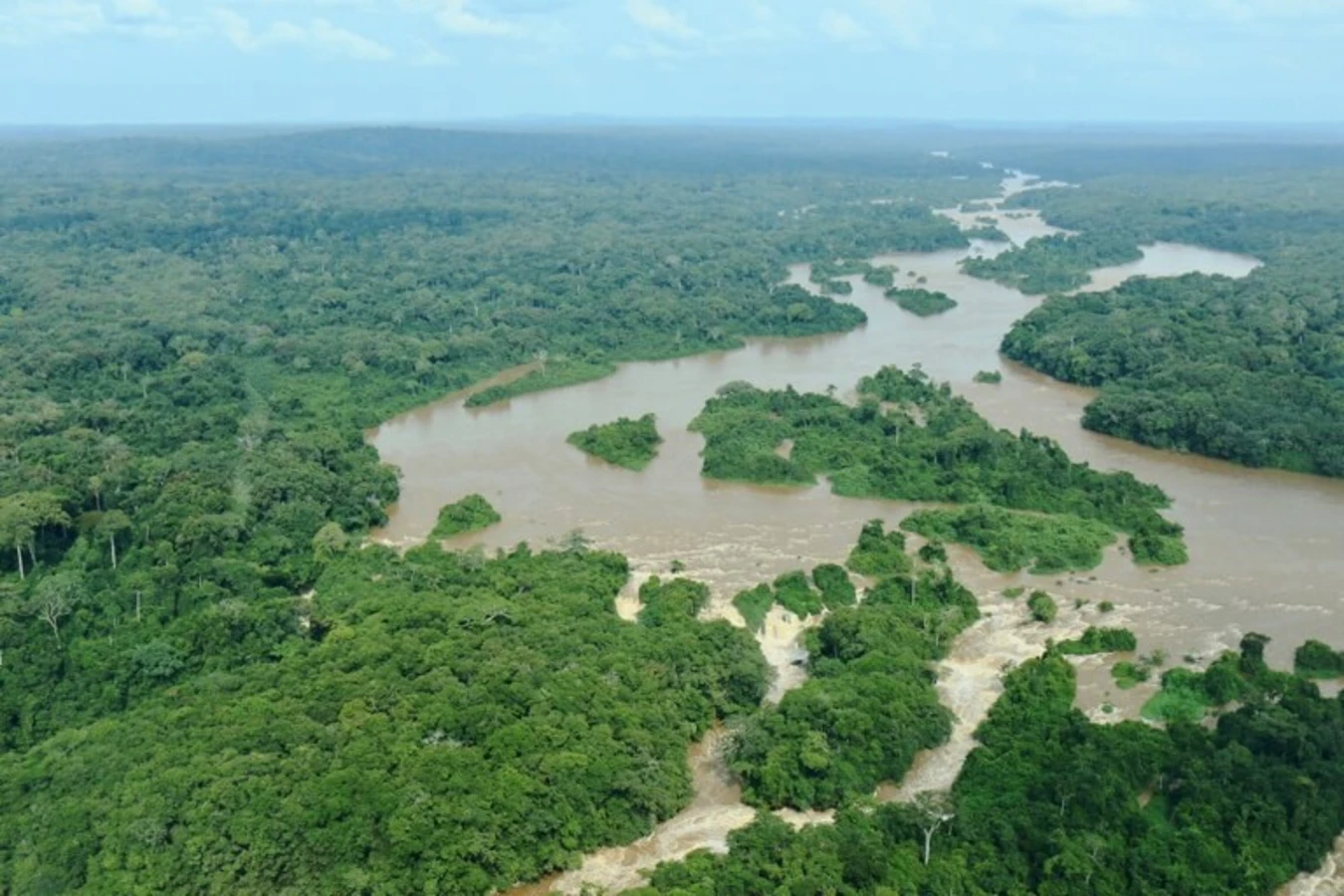 Forêt de l'Ituri, République démocratique du Congo