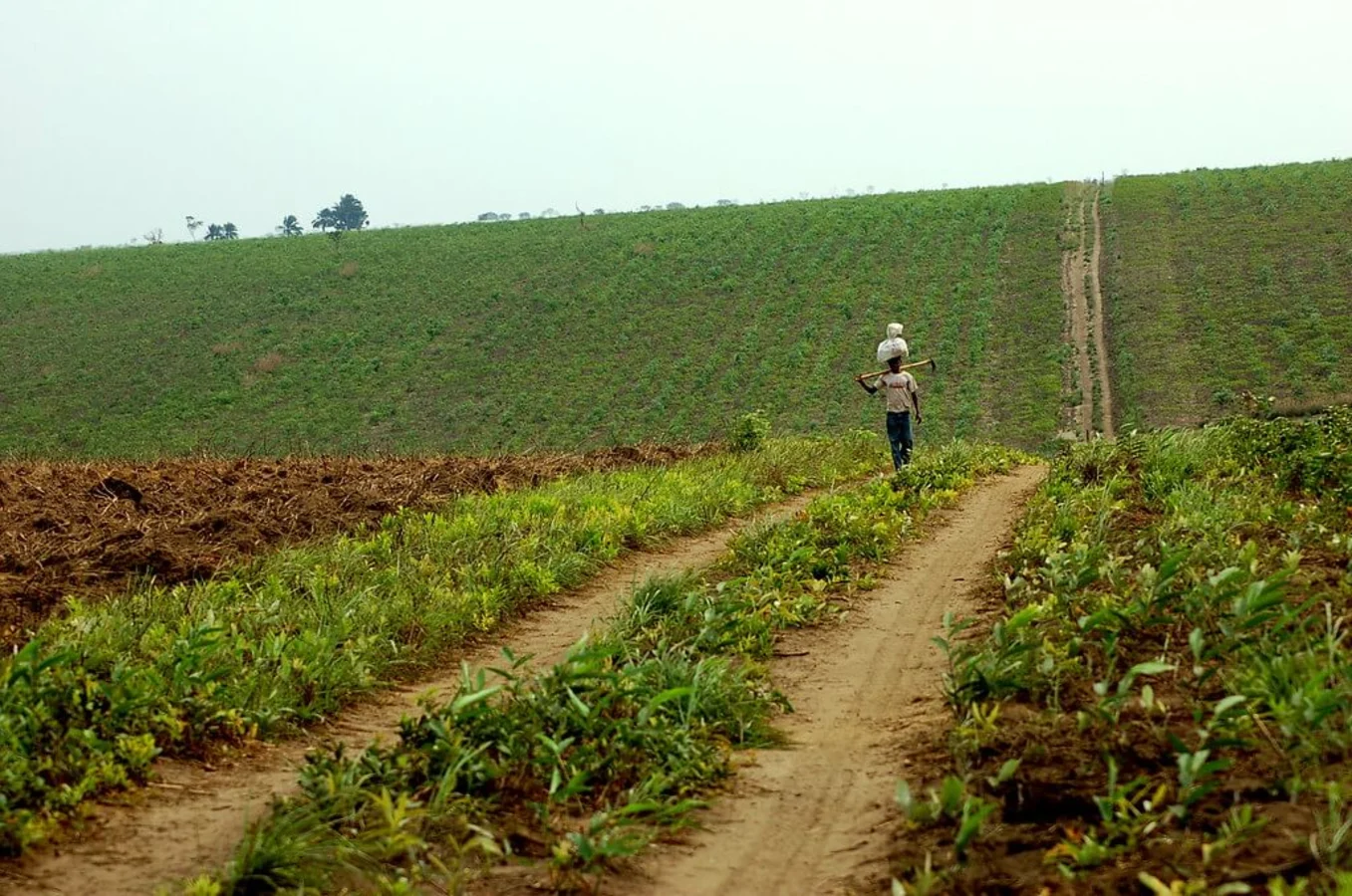 Plateaux Batéké, Gabon, République du Congo