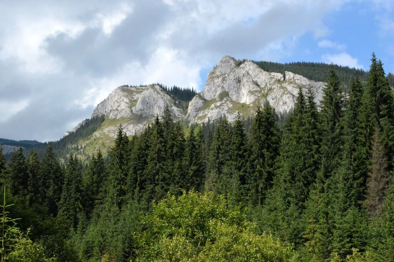 Parc naturel Apuseni, Roumanie