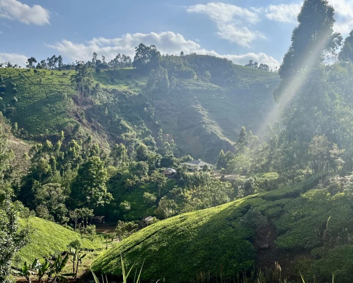 Aberdare, Kenya