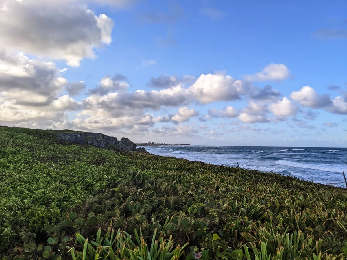 Playa Las Canas, République dominicaine