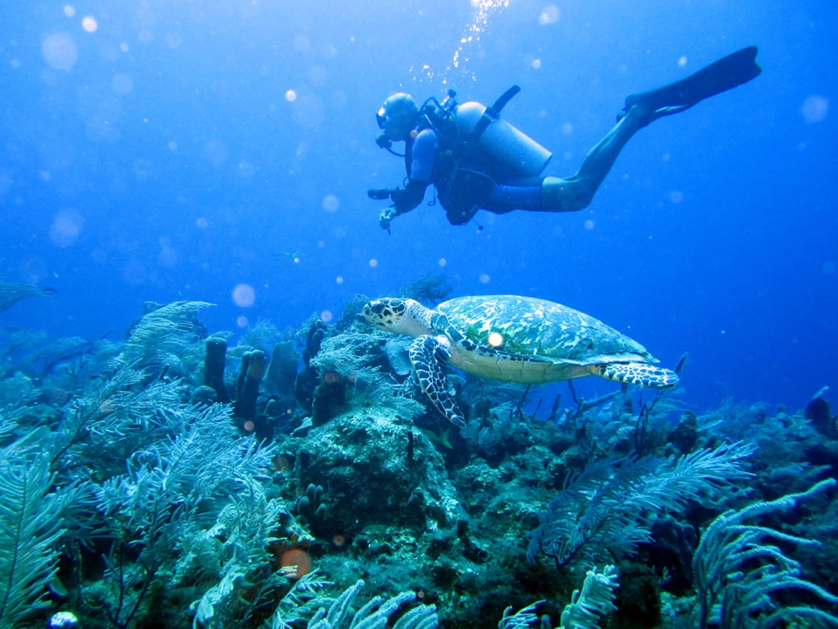 Glover's Reef Marine Reserve, Belize