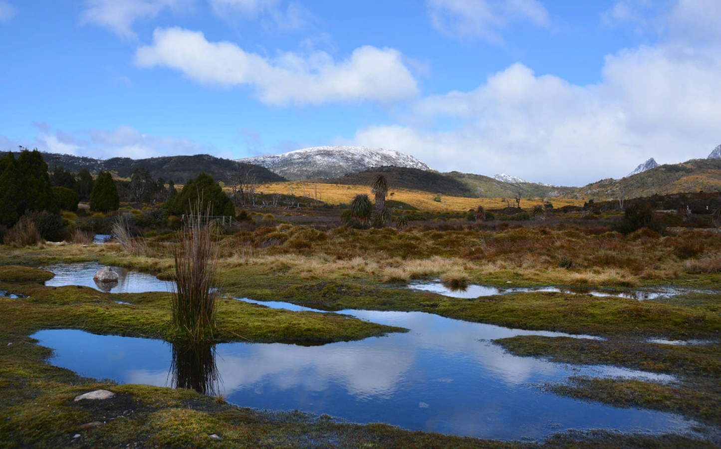 Parc national du Mont Cradle et du Lac Saint Clair, Australie, Tasmanie