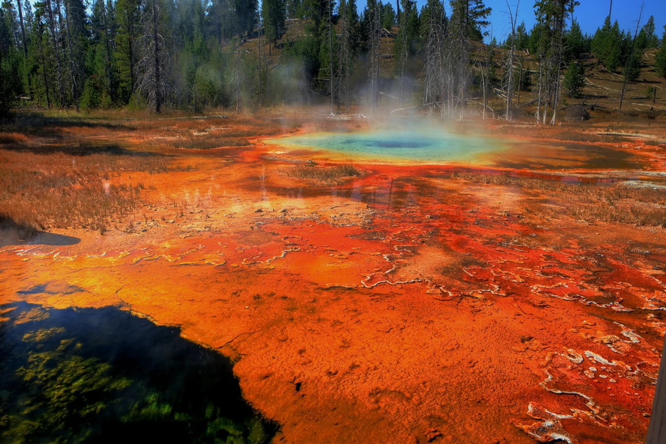 Upper Geyser Basin, États-Unis