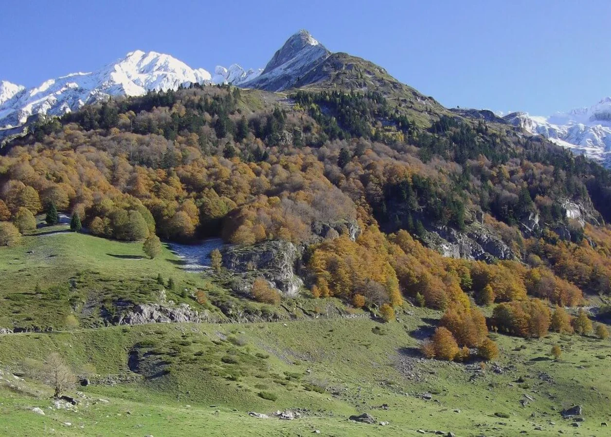 Vallée d'Ossau, France