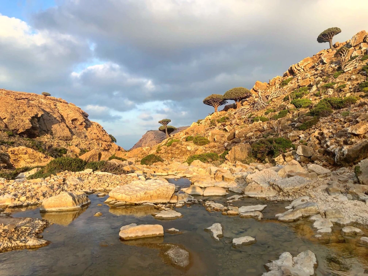 Zone protégée d'Homhil, Yémen, Socotra