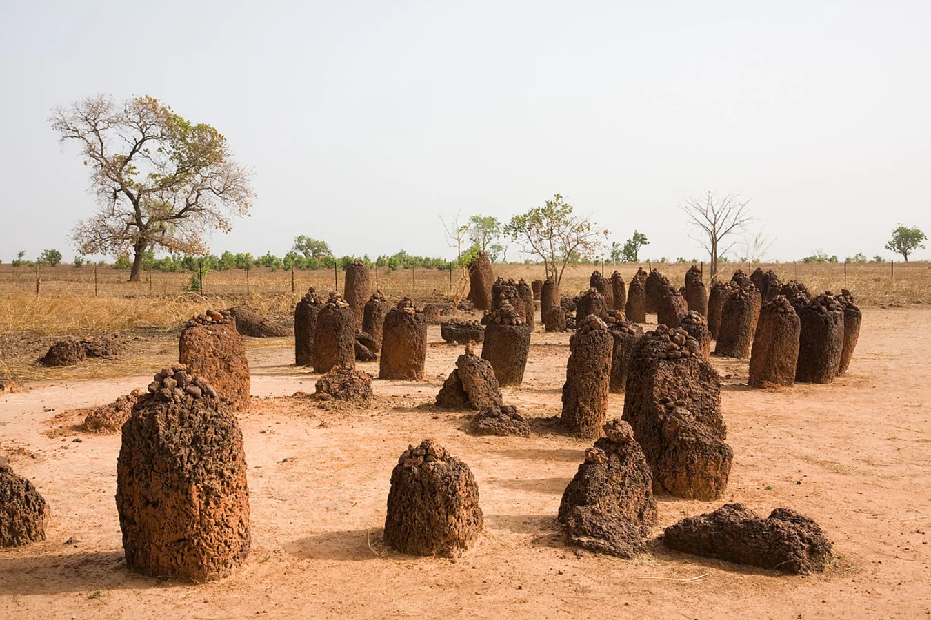 Cercles de pierre de Wassu, Gambie