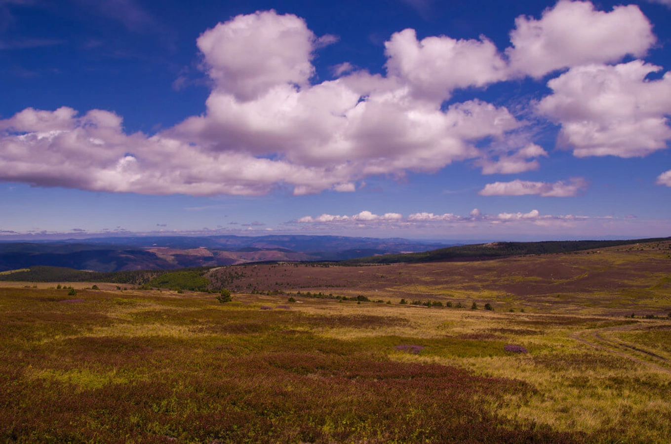 Mont Lozère, France