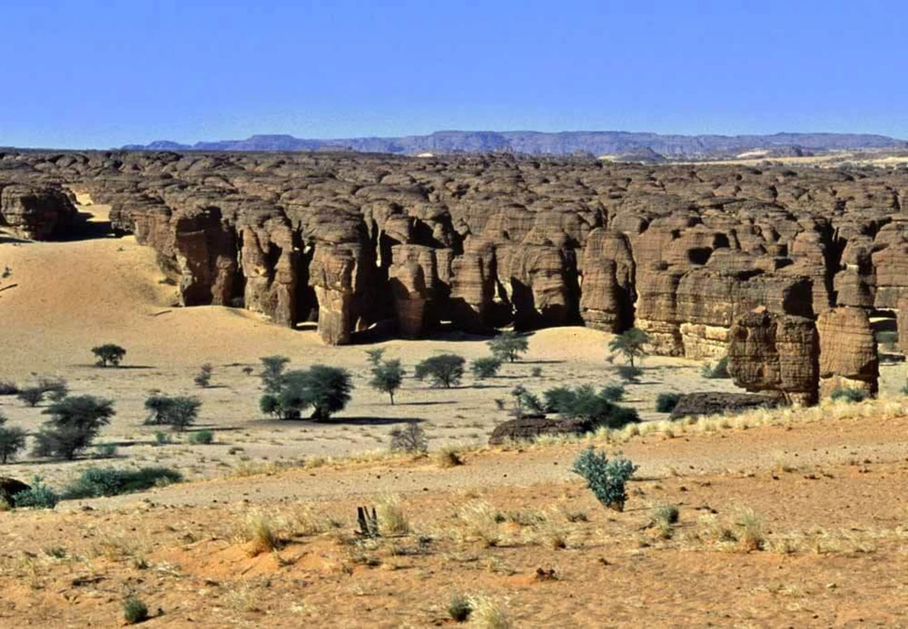 Labyrinthe d'Oyo, Tchad
