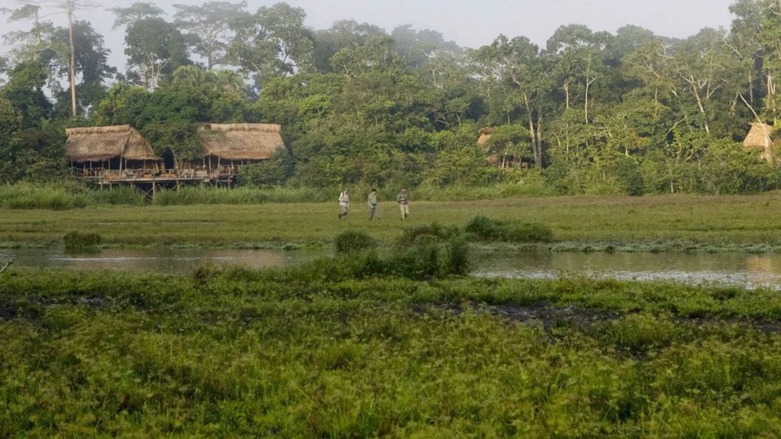 Parc national d'Odzala-Kokoua, République du Congo