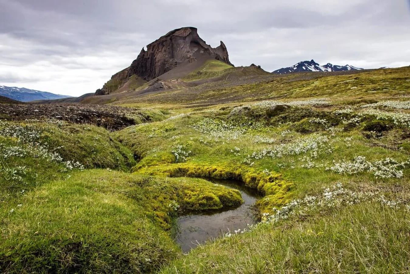Einhyrningur, Islande
