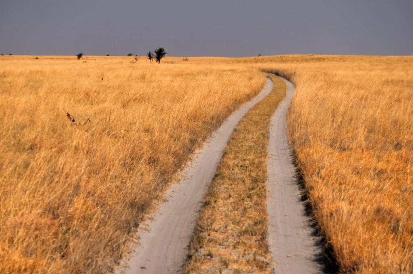 Parc national de Makgadikgadi Pans, Botswana