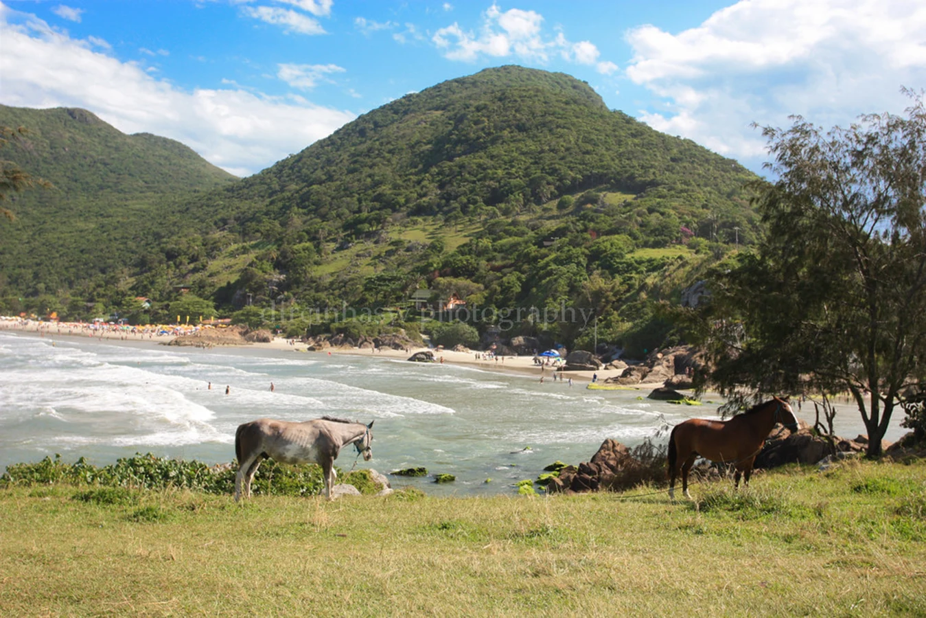 Praia Linda, Brésil