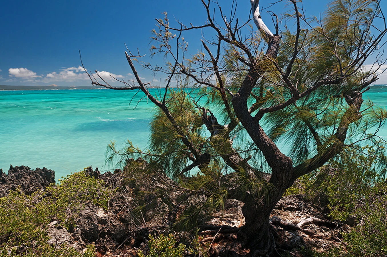 Mer d'Emeraude, Madagascar