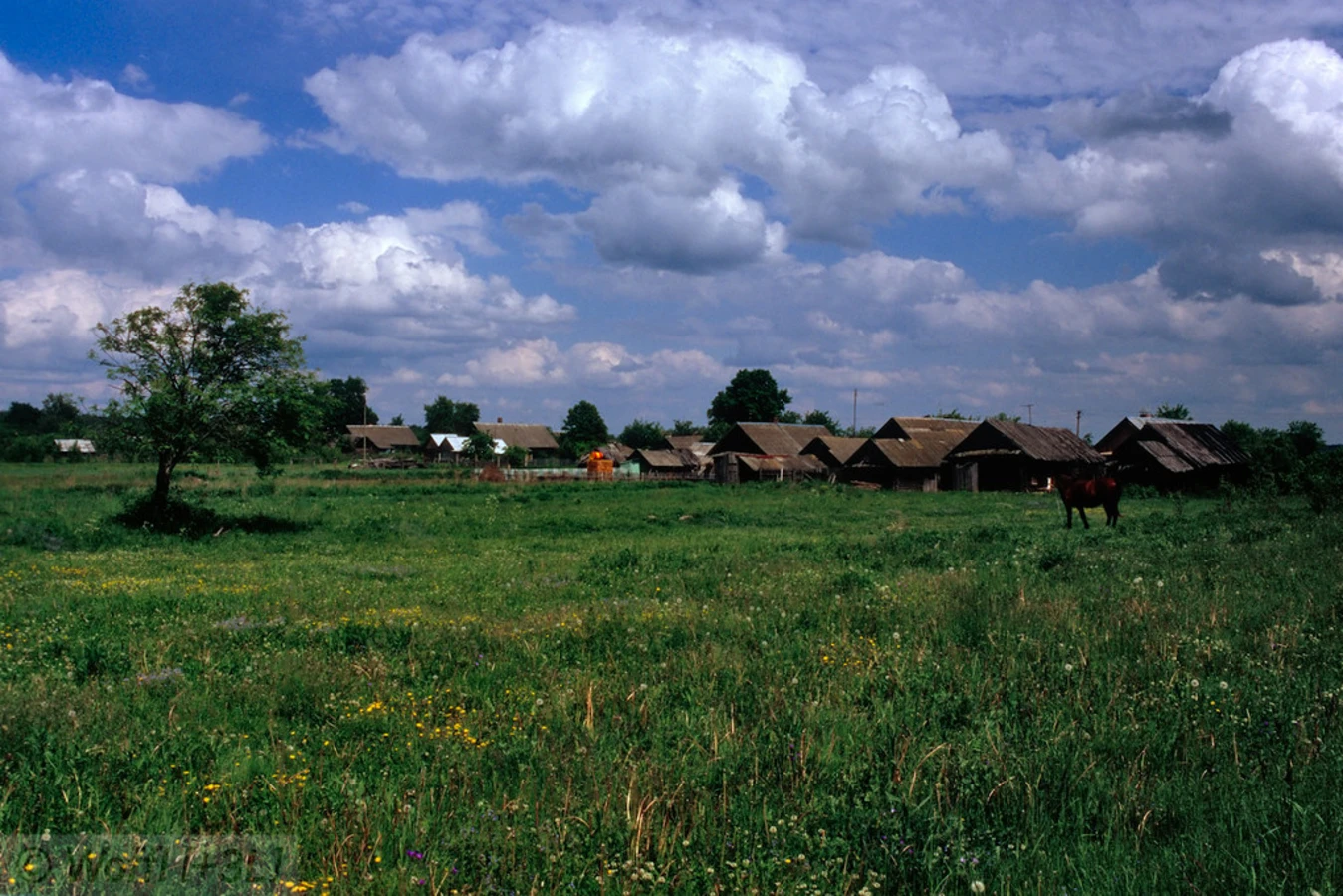 Berezinsky, Biélorussie, Biélorussie