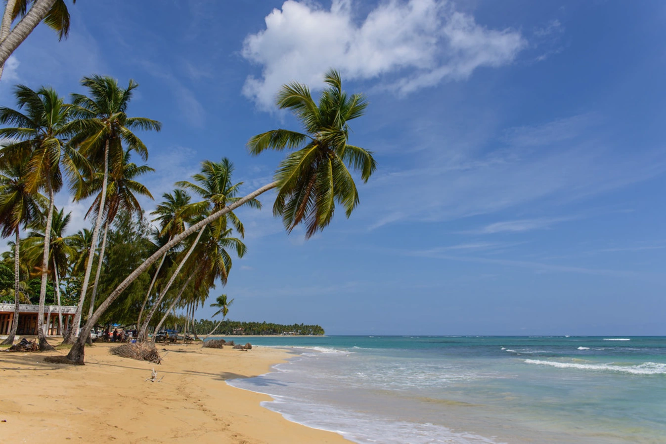 Playa Las Canas, République dominicaine