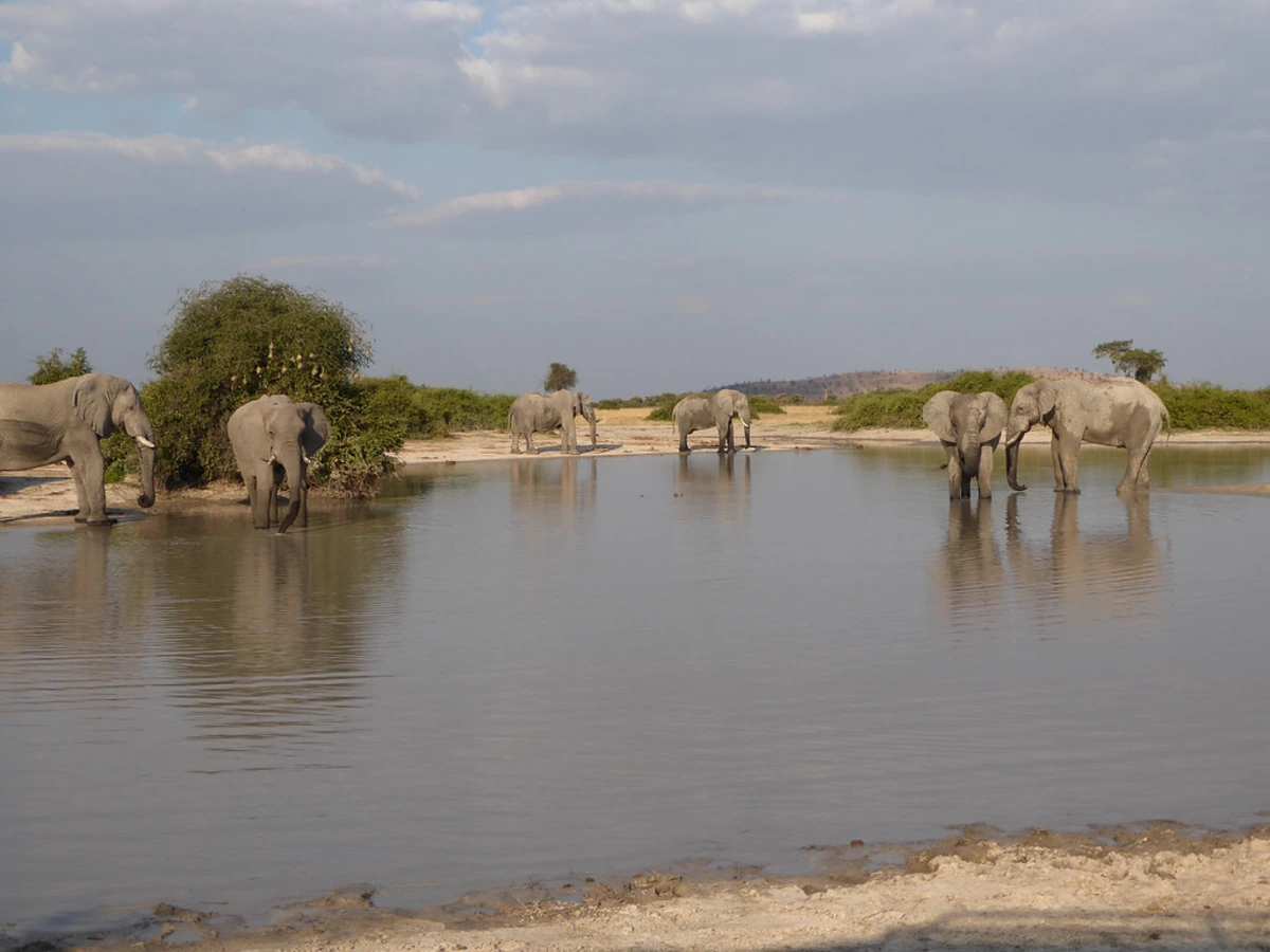 Canal de Savuti, Botswana