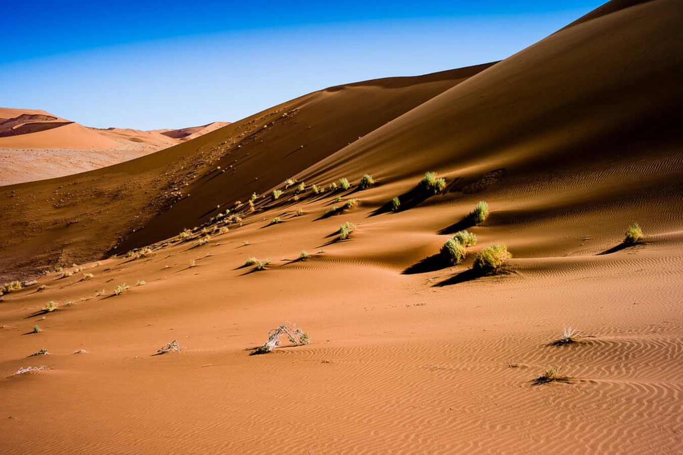 Désert du Namib, Namibie, Namibie, Namibie