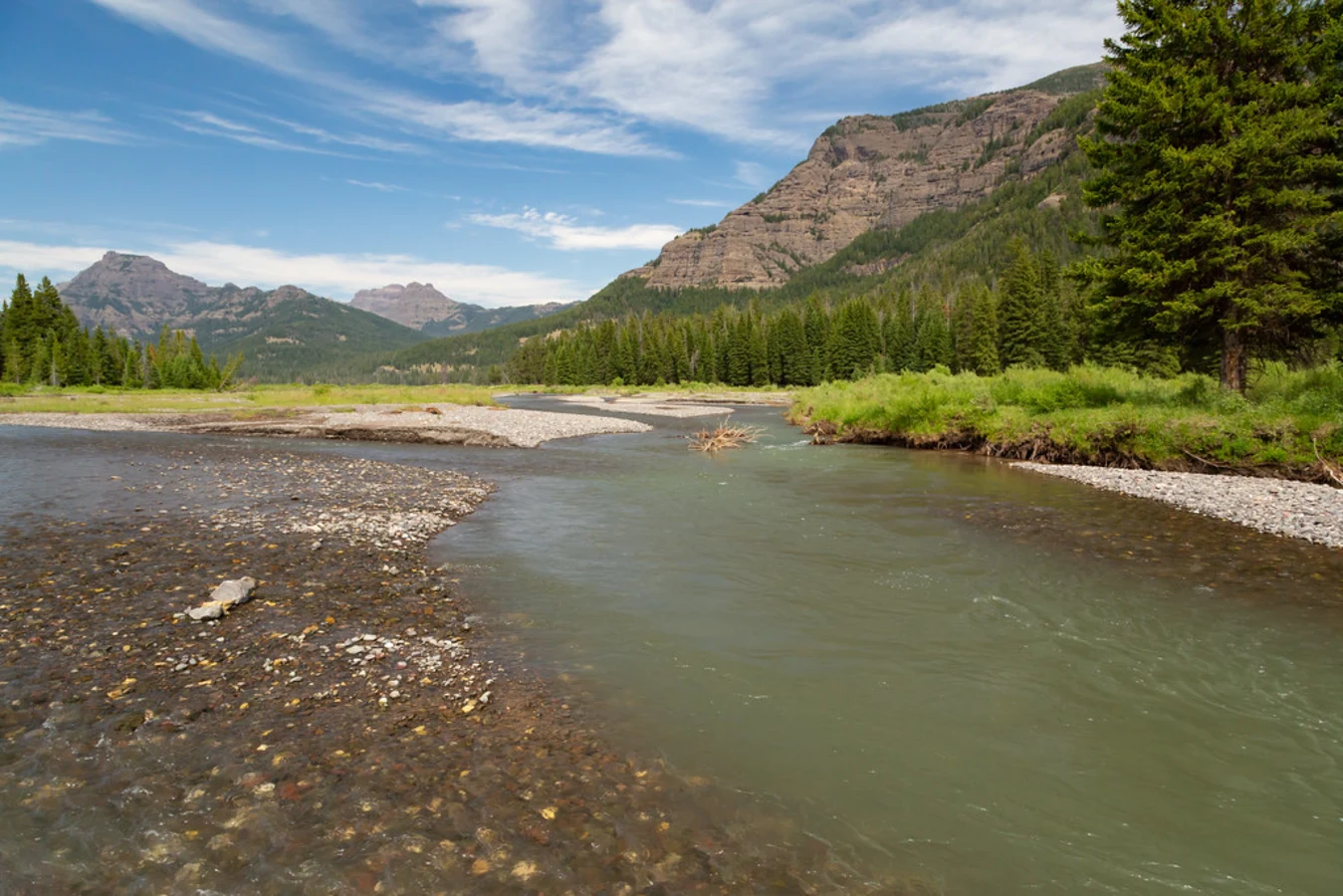 Lamar Valley, États-Unis