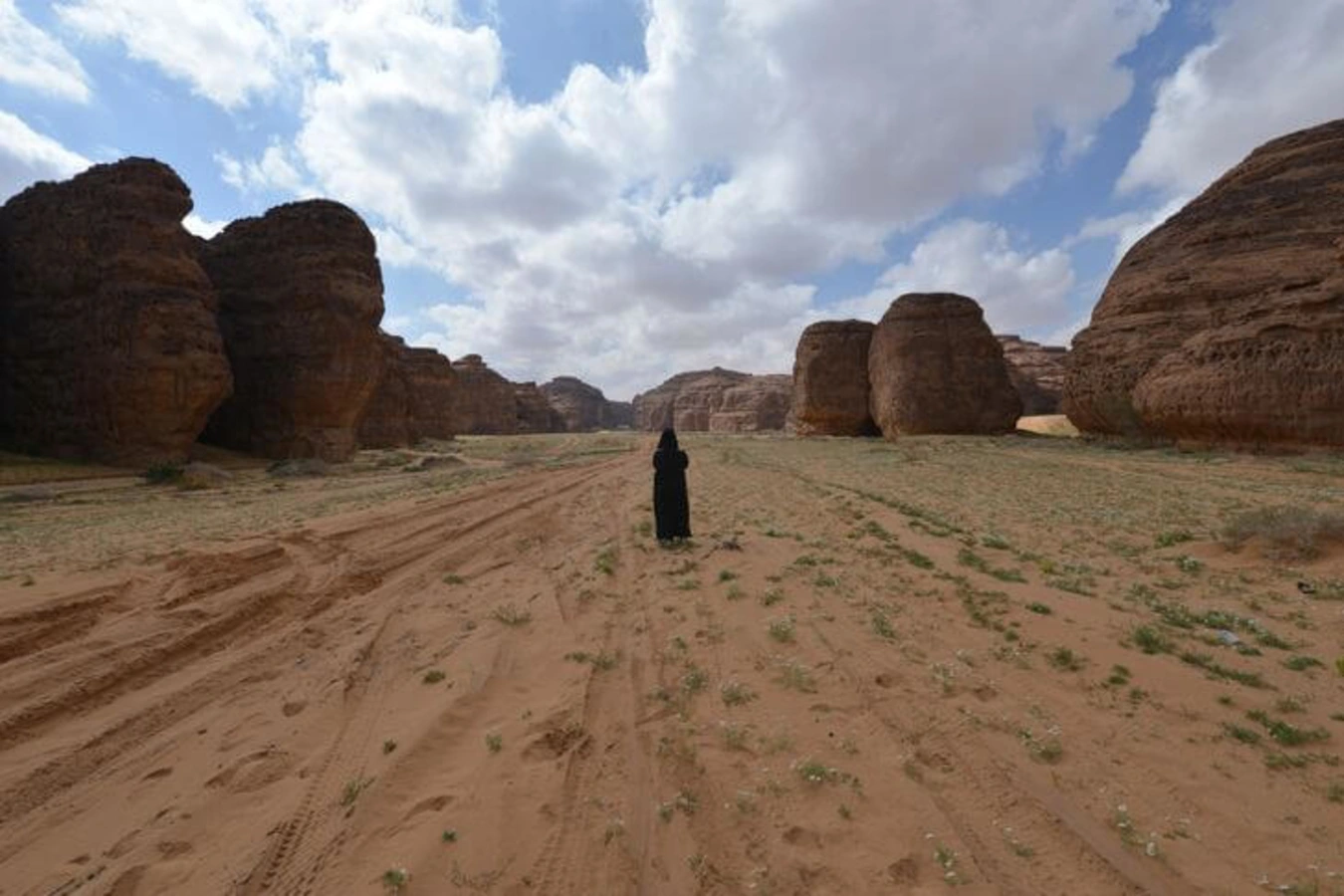 Réserve naturelle de Sharaan, Arabie saoudite