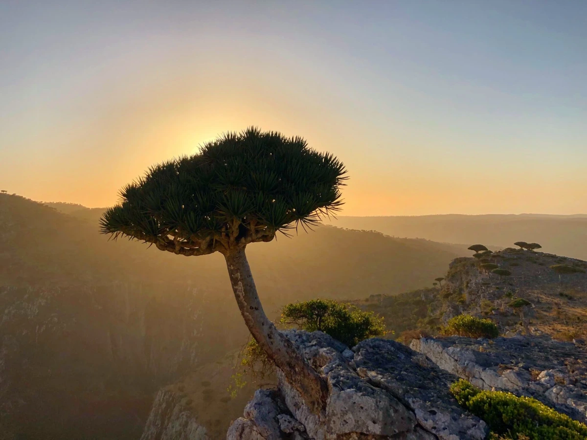 Shebahon viewpoint, Yémen, Socotra