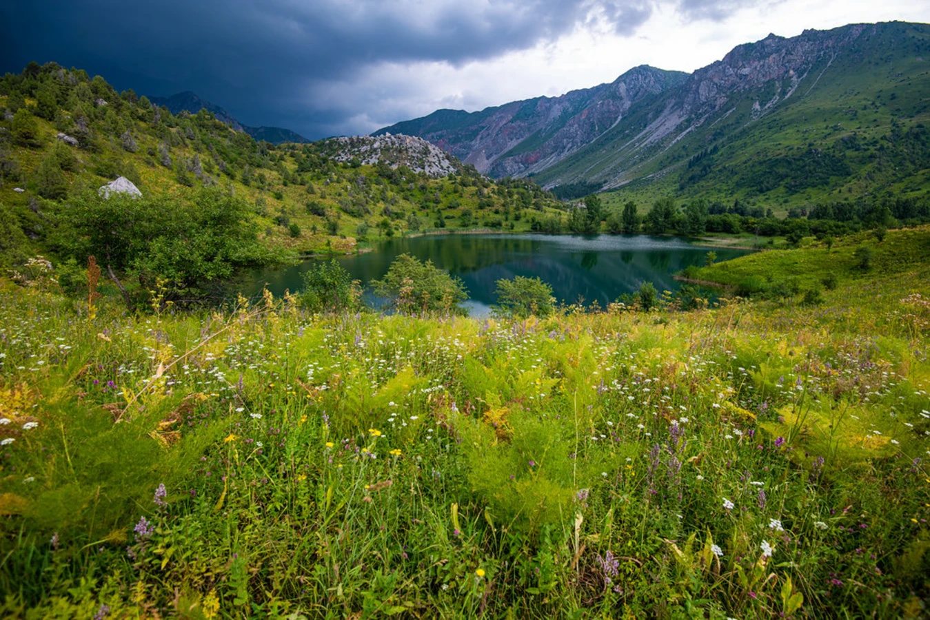 Réserve naturelle de Sary-Chelek, Kirghizistan