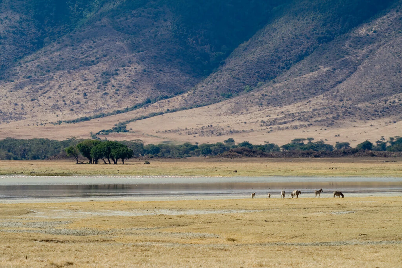 Lac Magadi, Kenya