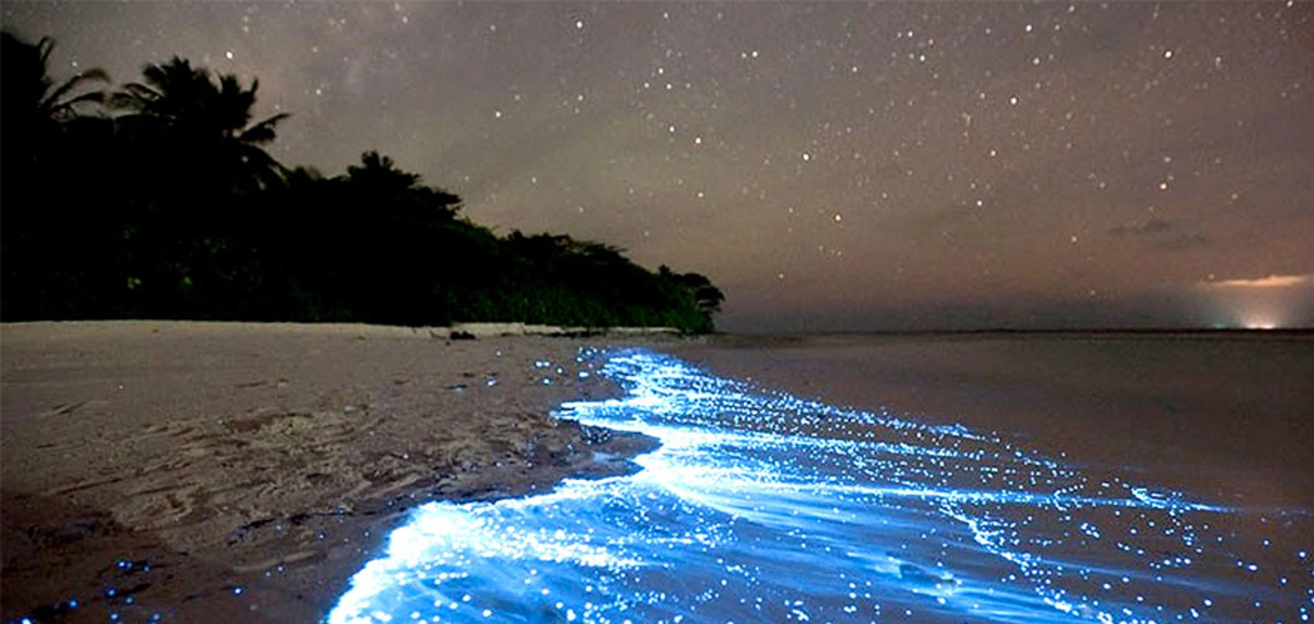 Bahía Bioluminiscente, Porto Rico