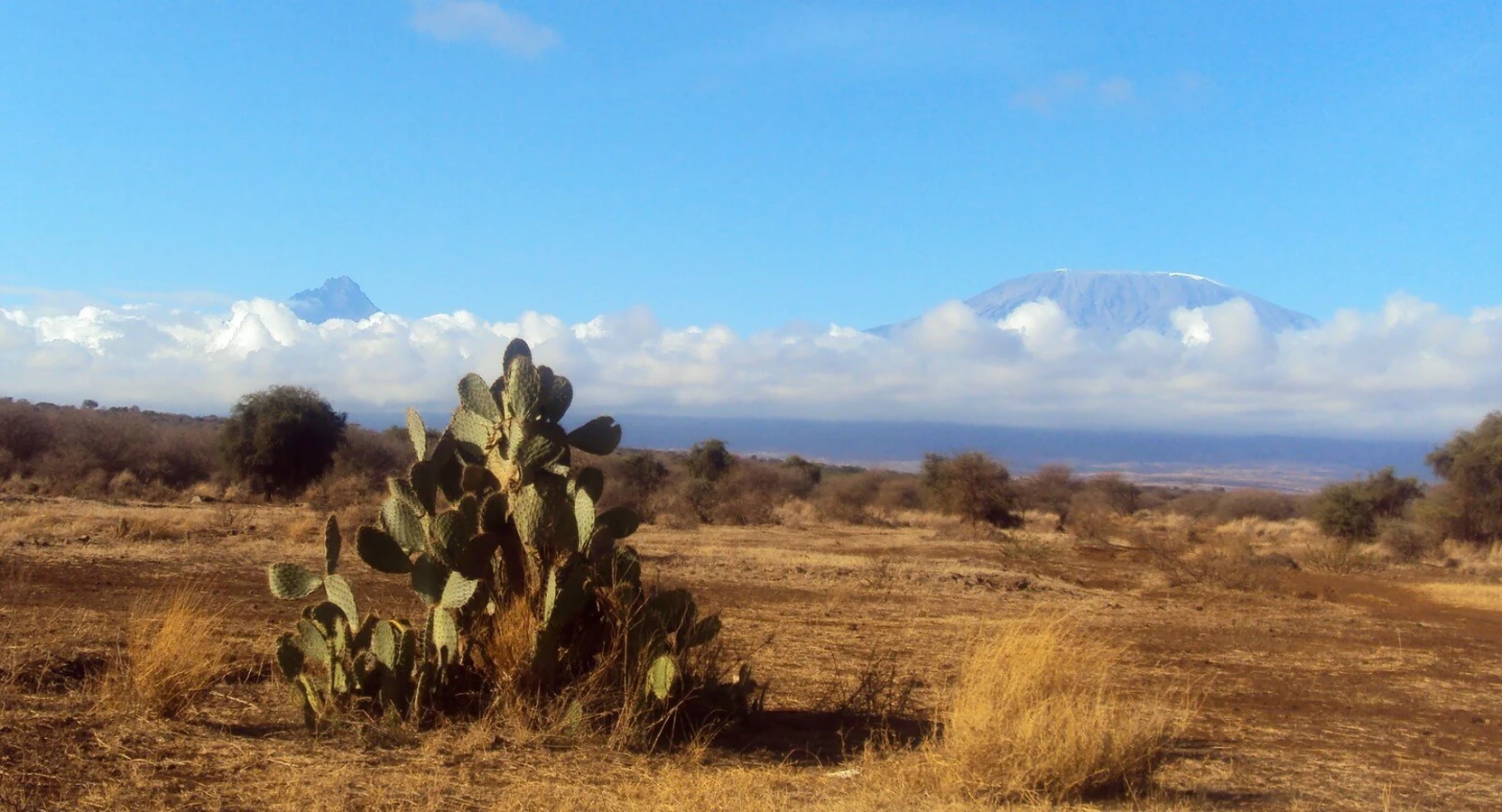 Parc national d'Amboseli, Kenya