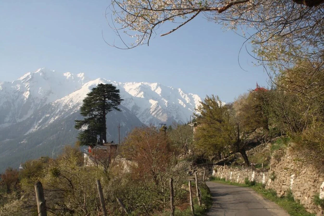 Kalpa, Inde