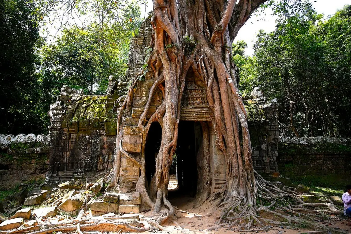 Ta Prohm, Cambodge