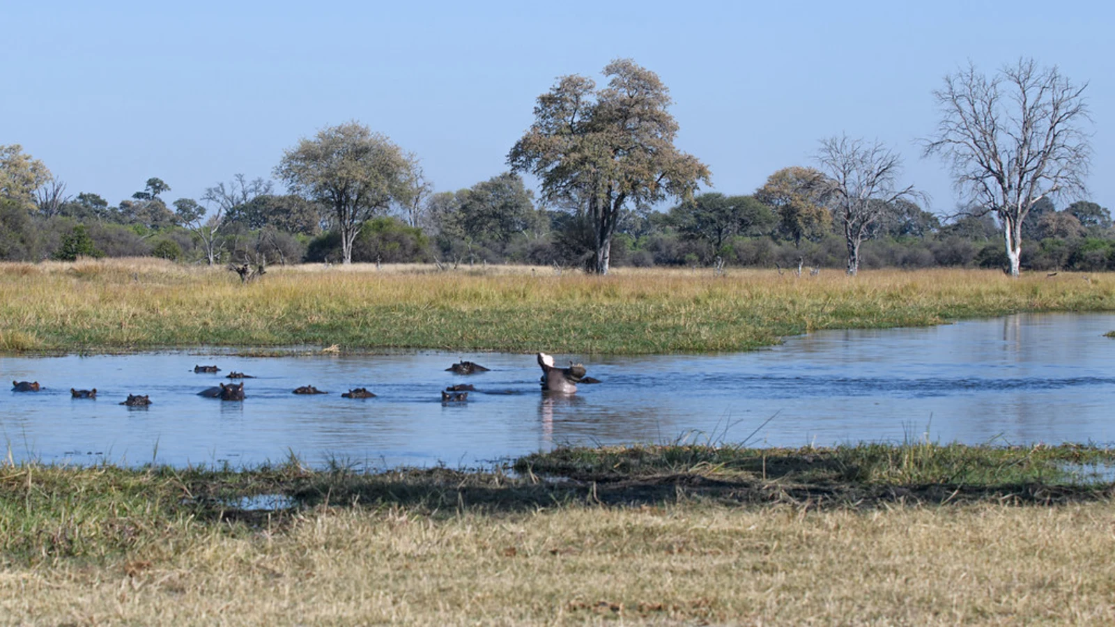 Khwai River, Botswana
