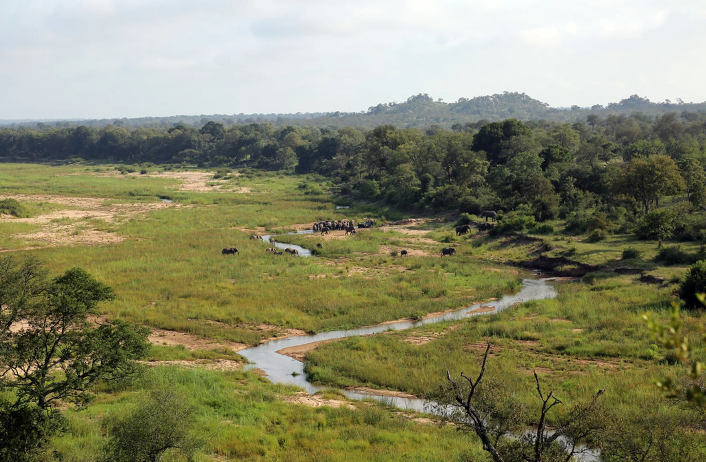 Réserve de Mala Mala, Afrique du Sud