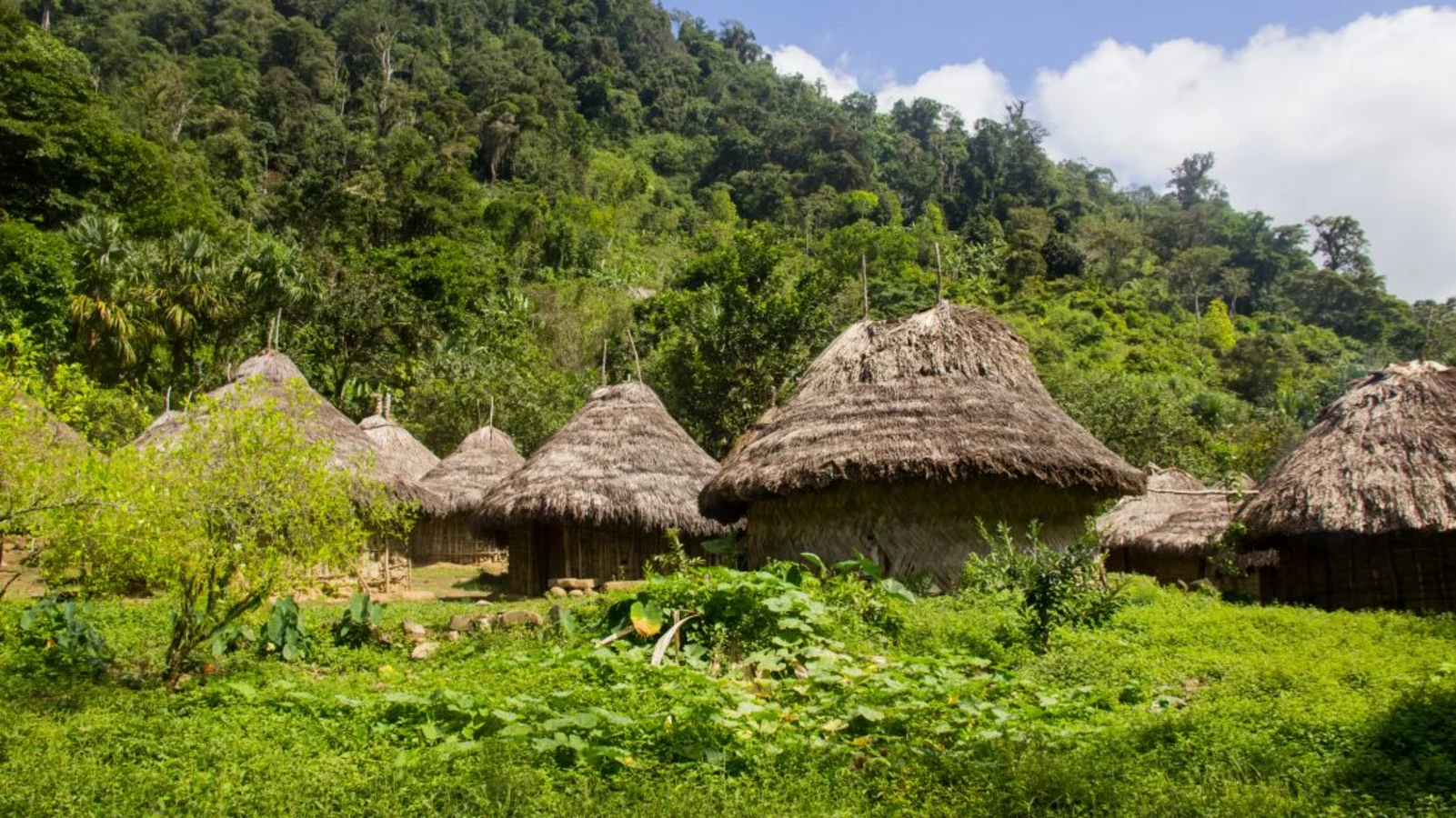 Ciudad Perdida, Colombie