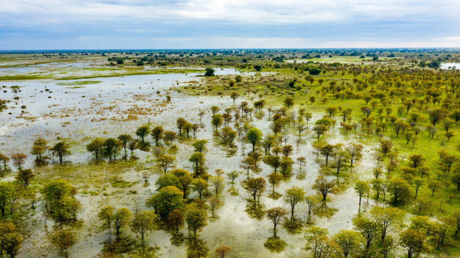 Parc national de Banhine, Mozambique
