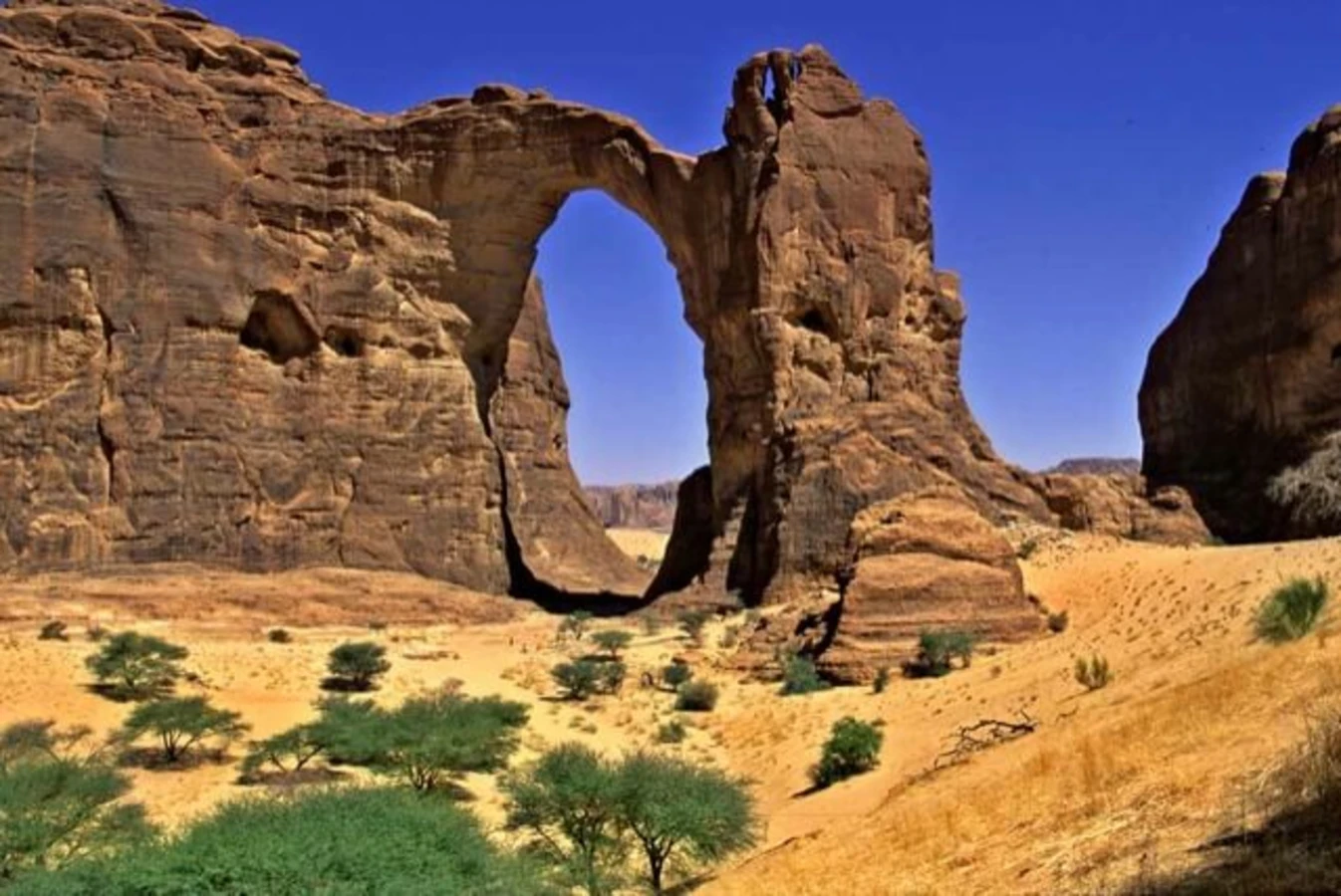 Arche d'Aloba, Tchad
