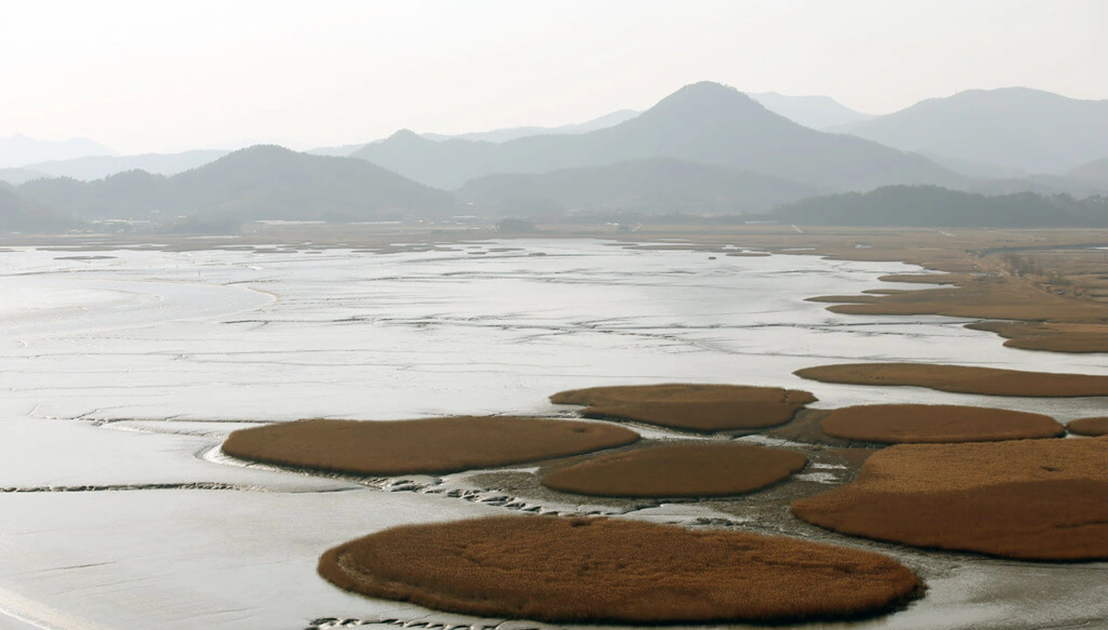 Baie de Suncheon, Corée du Sud